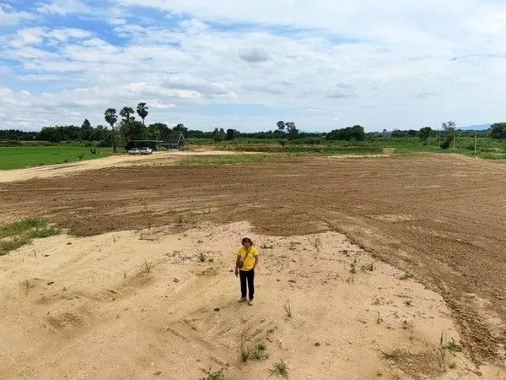 ที่ดิน บ้านดอนกอก นาเริก พนัสนิคม ถมแล้ว ราคาถูก ตรวละ