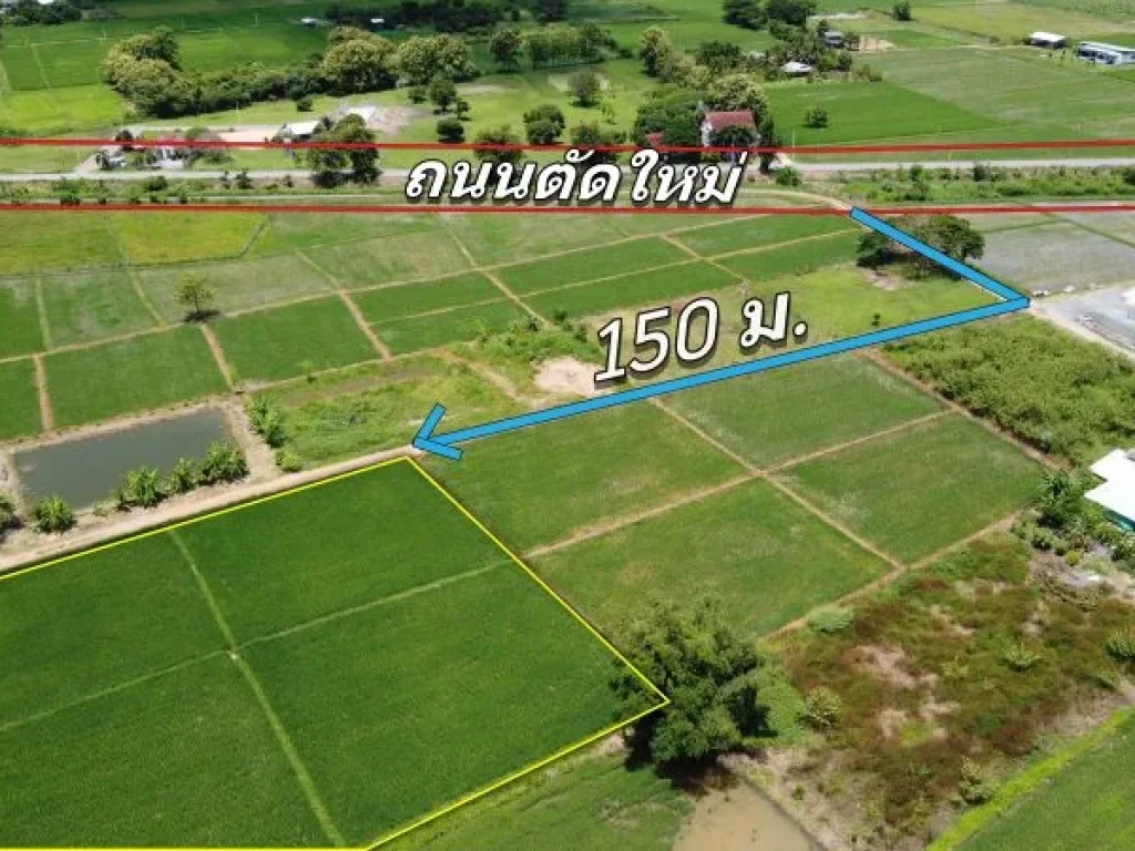 ที่นา 6-3-88 ไร่ ใกล้ถนนตัดใหม่ 150เมตร ที่ดินมีอนาคต