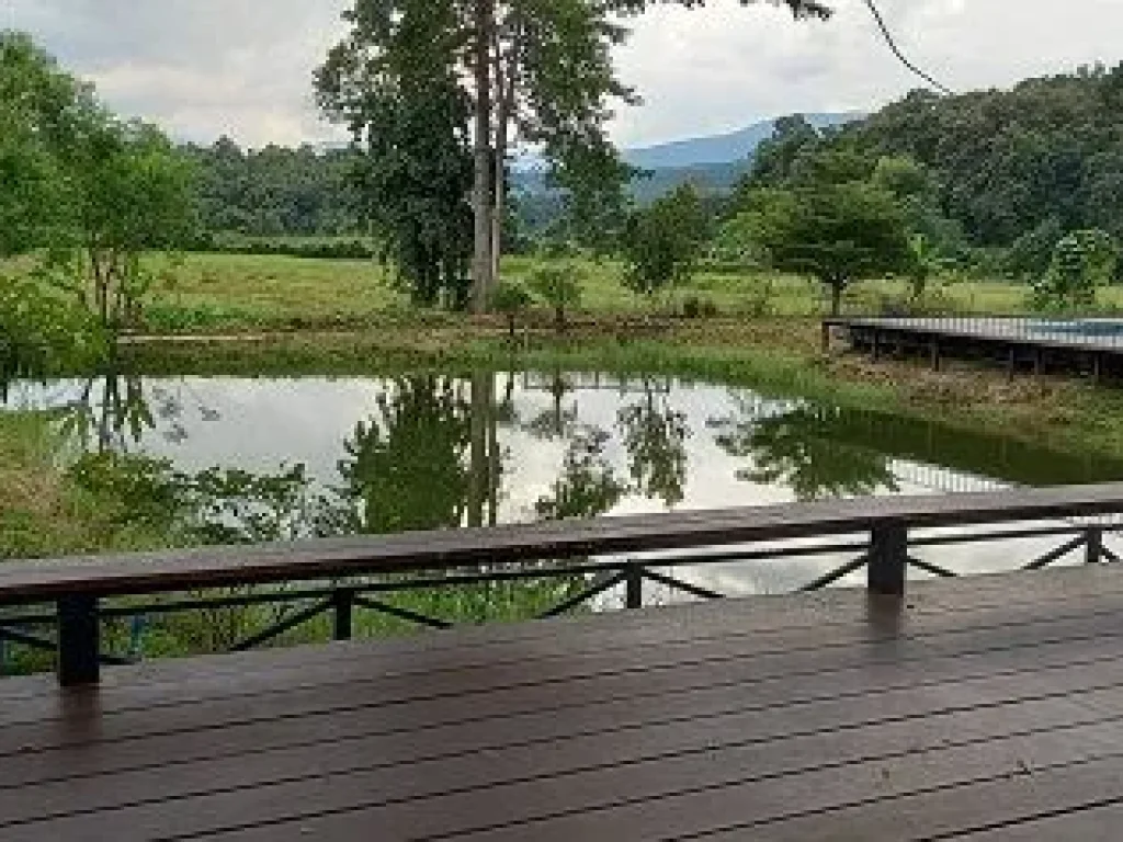 ที่ดิน พร้อม รีสอร์ต แม่ริม เชียงใหม่ บรรยากาศธรรมชาติ