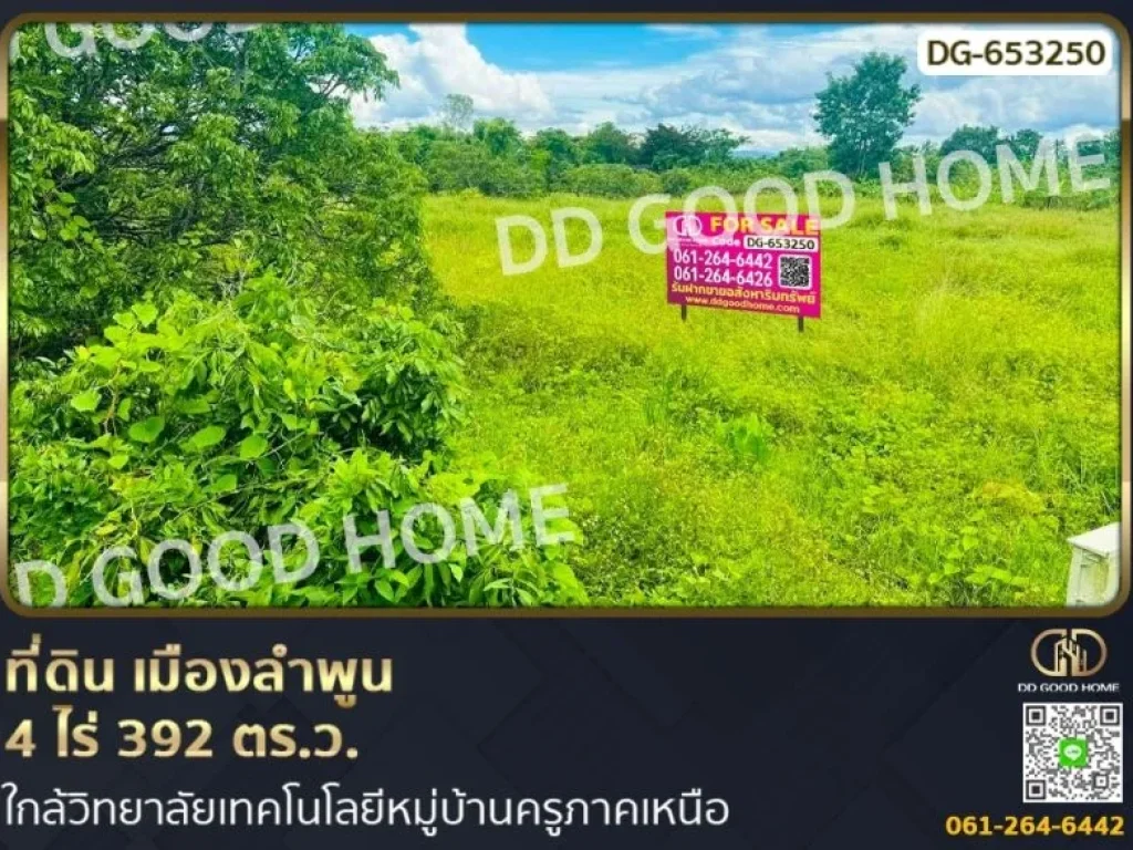 ที่ดิน เมืองลำพูน 4 ไร่ 392 ตรว ใกล้วิทยาลัยเทคโนโลยีหมู่บ