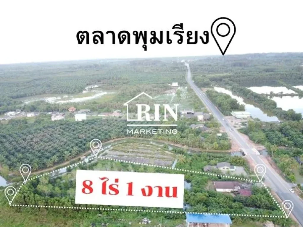 ขายที่ดินหน้าติดถนนหมายเลข 4011 ไชยา-พุมเรียง อไชยา