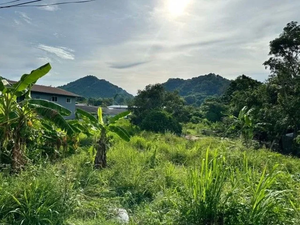 ที่ดินแปลงสวย วิวภูเขา พื้นที่สีแดง โซนเก้ากิโล ศรีราชา