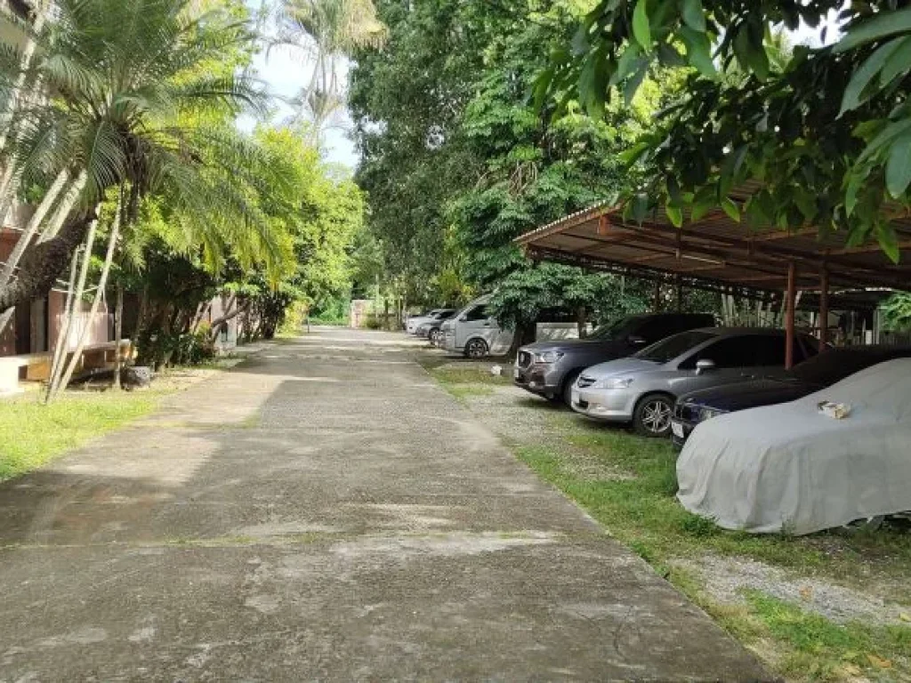 ขายหอพัก พร้อมบ้านพัก ทำเลดี ใกล้สถานีรถไฟลำพูน