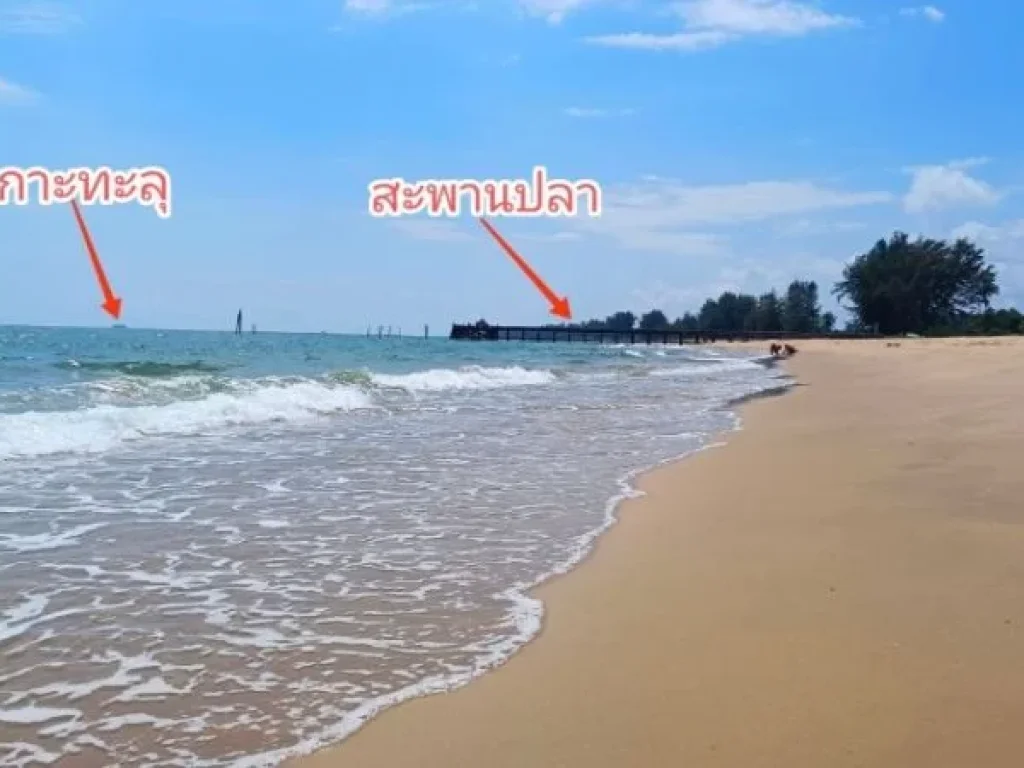 ขายที่ดินติดทะเล ติดชายหาด บางสะพานน้อย ประจวบคีรีขันธ์