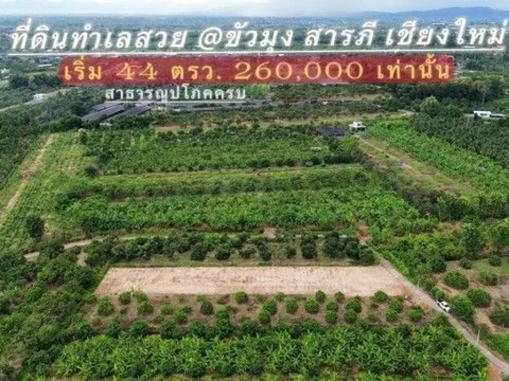 ขายที่ดิน 44-59ตรว เริ่ม260000บ ฟรีโอน ถนน น้ำ ไฟฟ้า