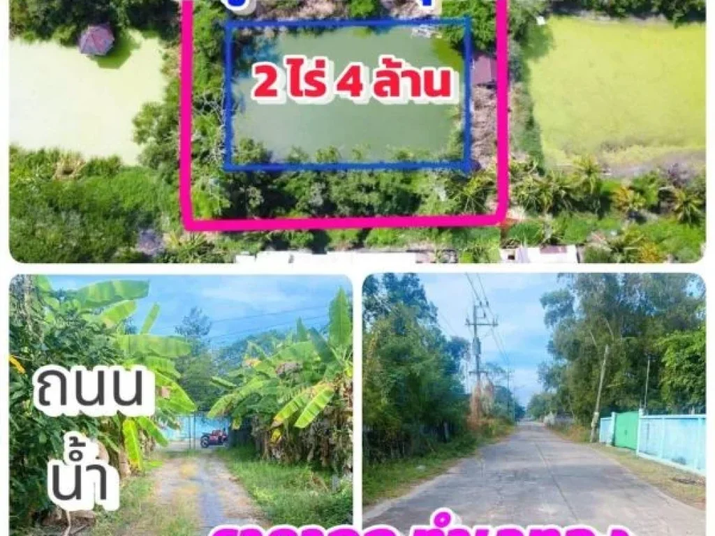 ที่ดินคลอง8 ซอยไมตรี7 ลำลูกกา ปทุมธานี 2 ไร่ 4 ล้าน