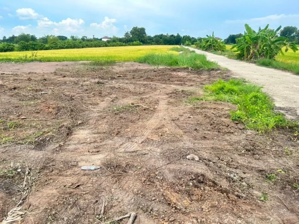 ขายที่ดินคลอง6 ซอยคลองหกตะวันตก 65 คลองหลวง ปทุมธานี