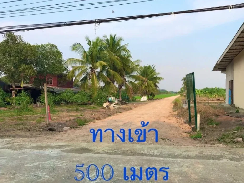 ขายที่ดินถมแล้ว คลองแปด หนองเสือ ฝั่งตะวันออก จปทุมธานี