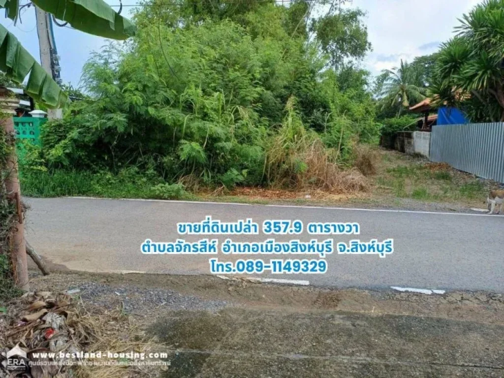 ขายที่ดิน 3579 ตารางวา อำเภอเมืองสิงห์บุรี จังหวัดสิงห์บุรี