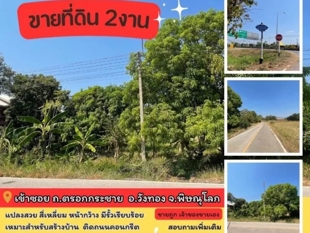 ขายที่ดิน ใกล้ รพวังทอง อวังทอง จพิษณุโลก