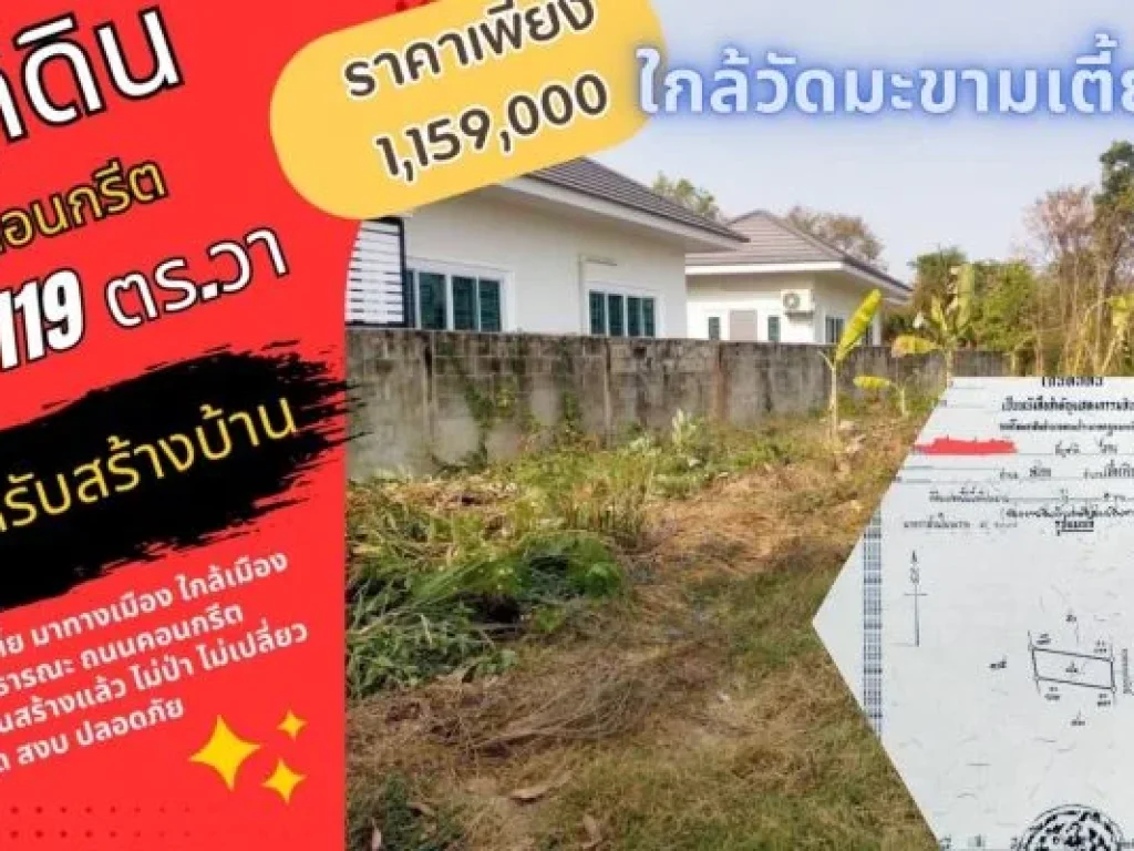 ขายที่ดินในเมือง ใกล้สหกรณ์ออมทรัพย์ครู พิษณุโลก