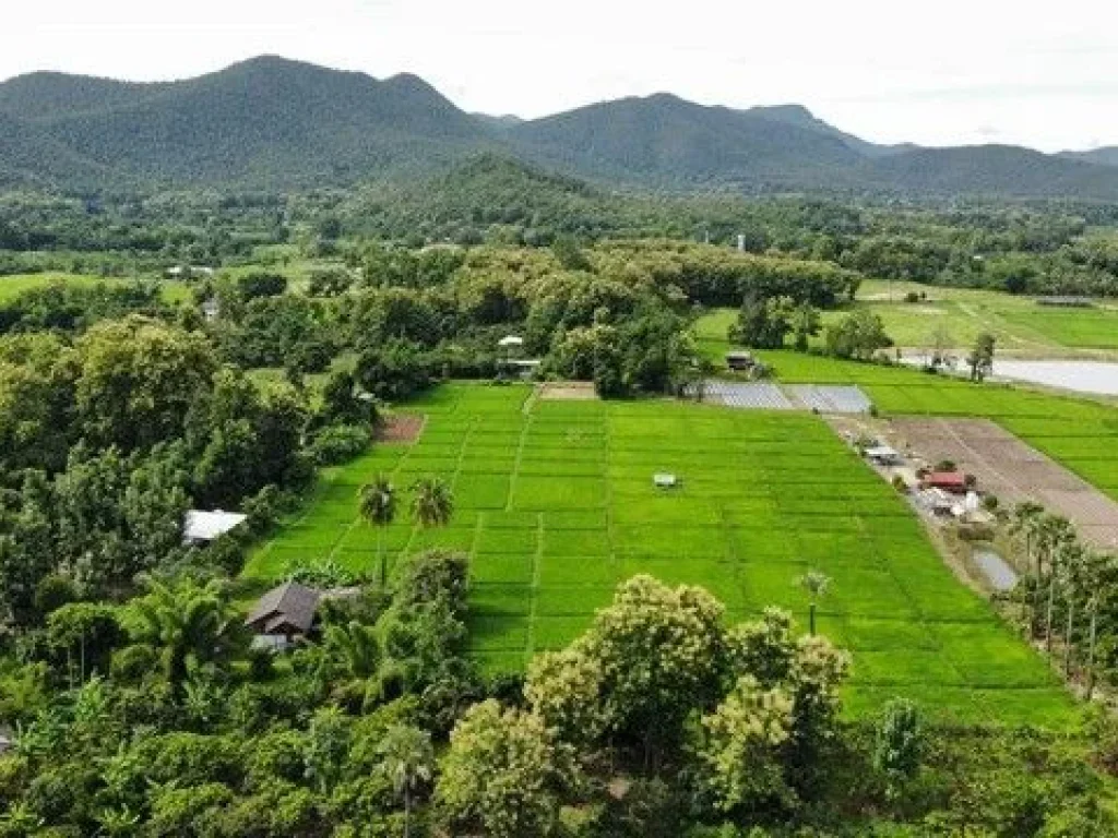 ขายที่ดินวิวดอย วิวทุ่งนามีทางเข้าบรรยากาศดีเขตแม่ออนใกล้สถา