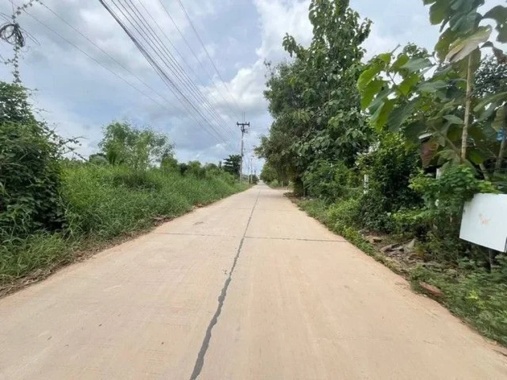 ขายบ้านพร้อมที่ดินในพื้นที่นาวังหิน ติดถนนคอนกรีต บ้านน้ำซับ