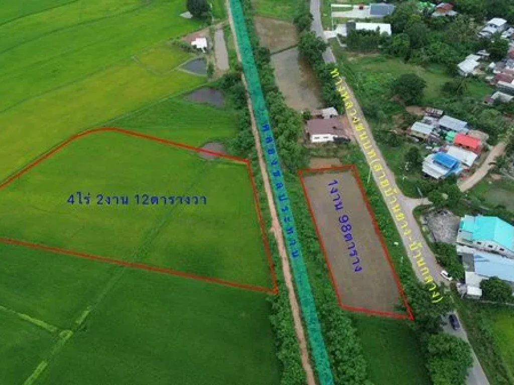 Land for sale Chaiyaphum ขายที่ดินชัยภูมิ มี 2 แปลง