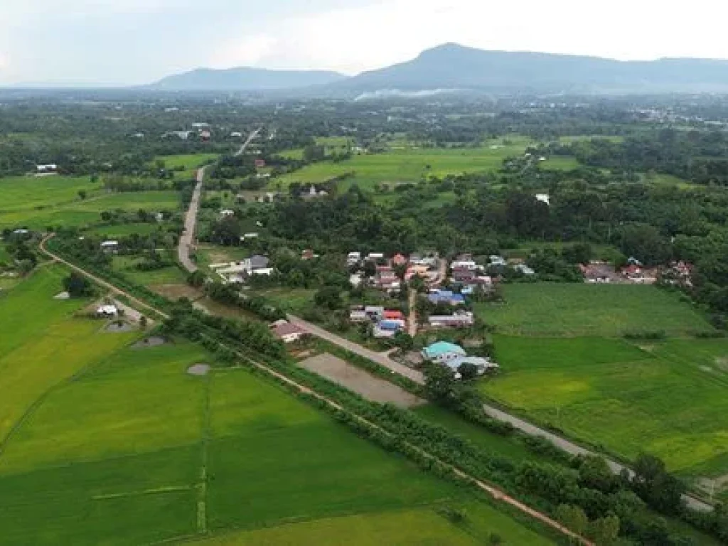 Land for sale Chaiyaphum ขายที่ดินชัยภูมิ มี 2 แปลง