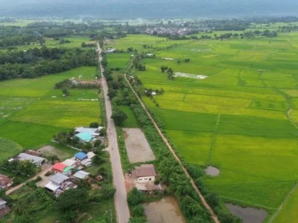 Land for sale Chaiyaphum ขายที่ดินชัยภูมิ มี 2 แปลง