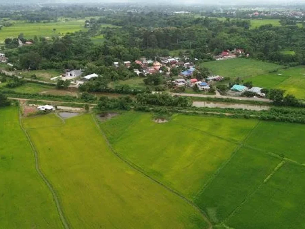 Land for sale Chaiyaphum ขายที่ดินชัยภูมิ มี 2 แปลง