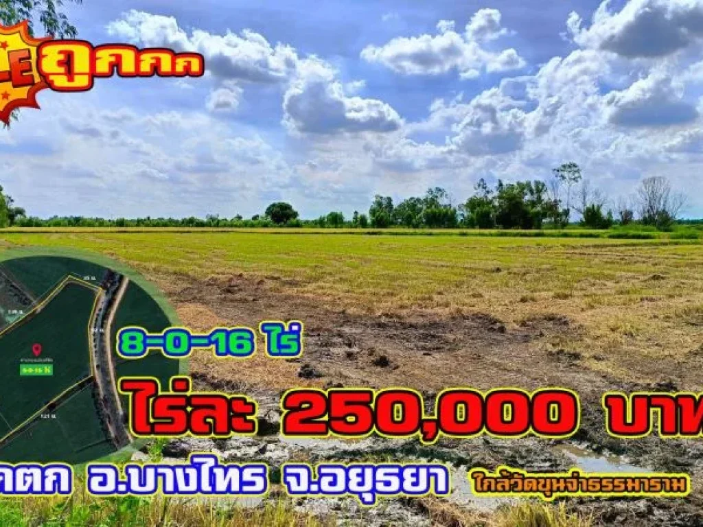 ขายที่ดินติดถนน เนื้อที่ 8-0-16 ไร่ อบางไทร