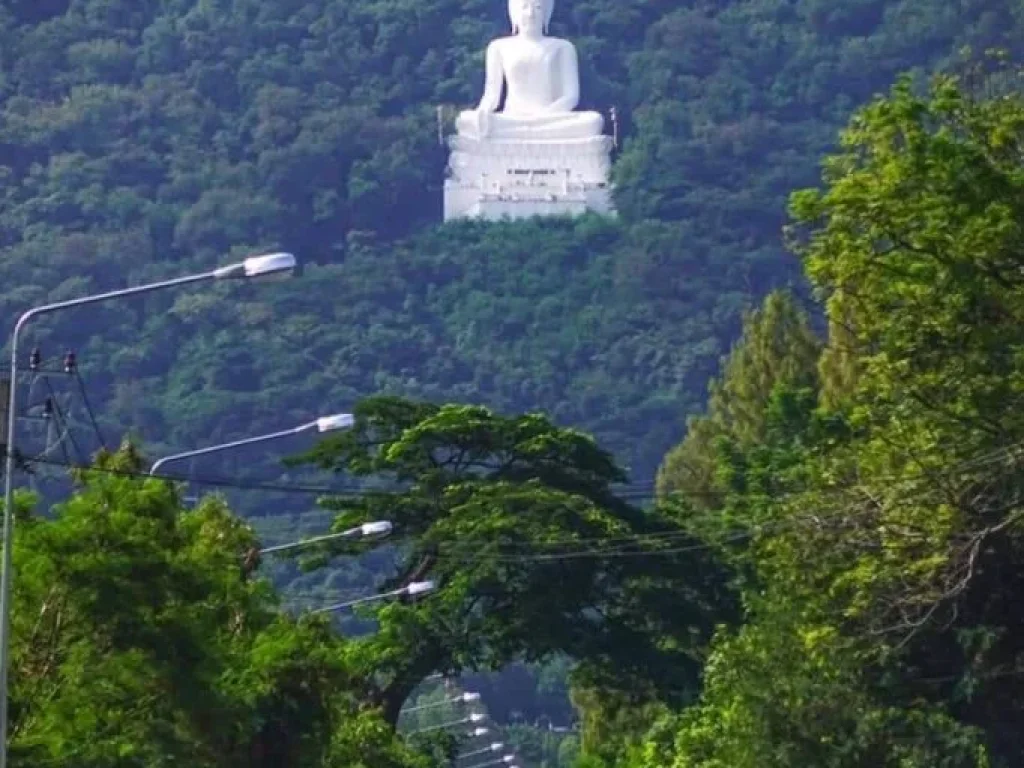 ขายที่ดิน ด่วน พื้นที่สวย บรรยากาศดี ติดภูเขา ติดถนนเส้นหลัก