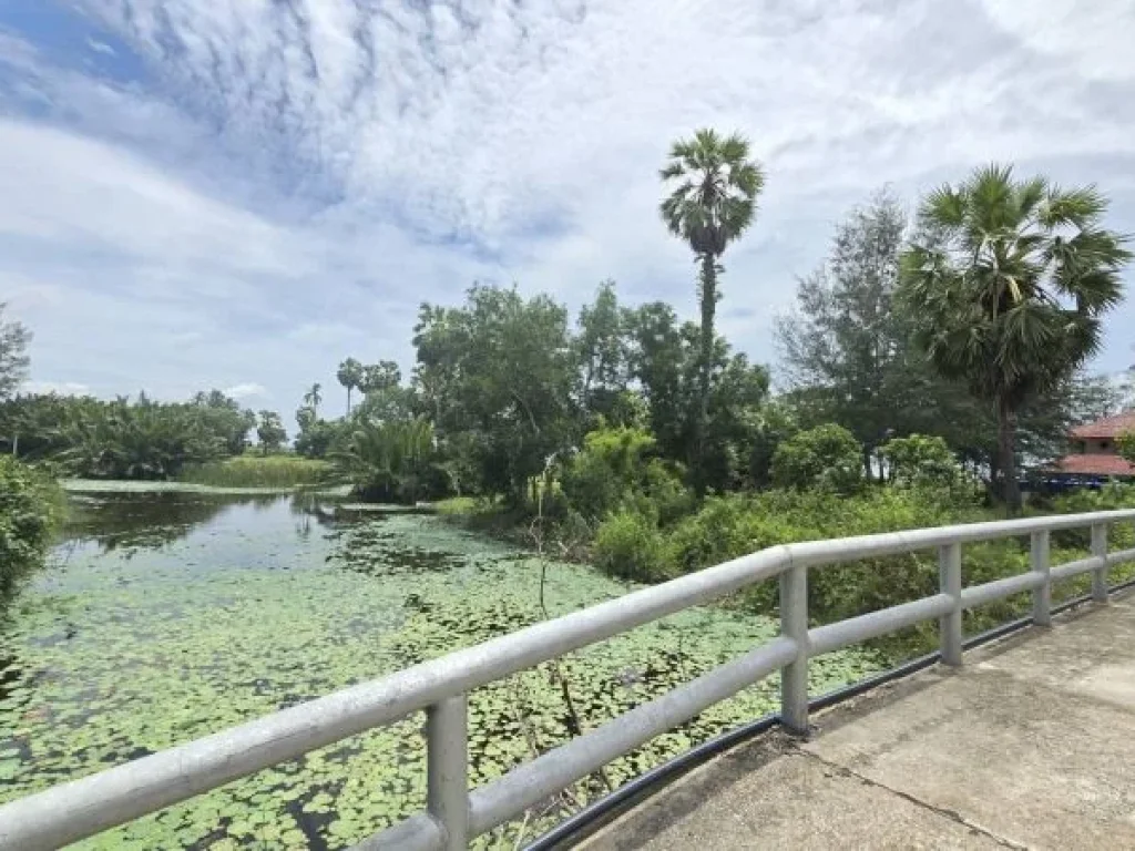 ที่ดินติดทะเลหาดนิยม สุราษฎร์ธานี ทำเลพิเศษ หน้าติดทะเล