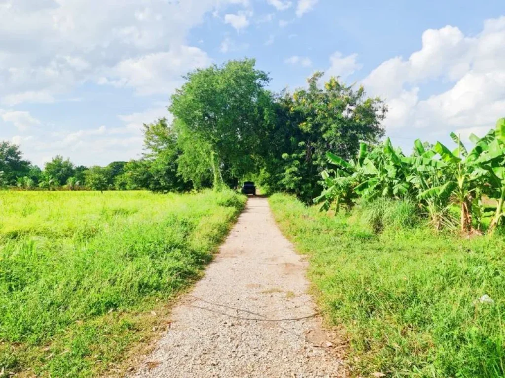 ที่ดินเหมาะทำบ้านสวน ติดถนน 2ด้าน ใกล้คลองชลประทาน