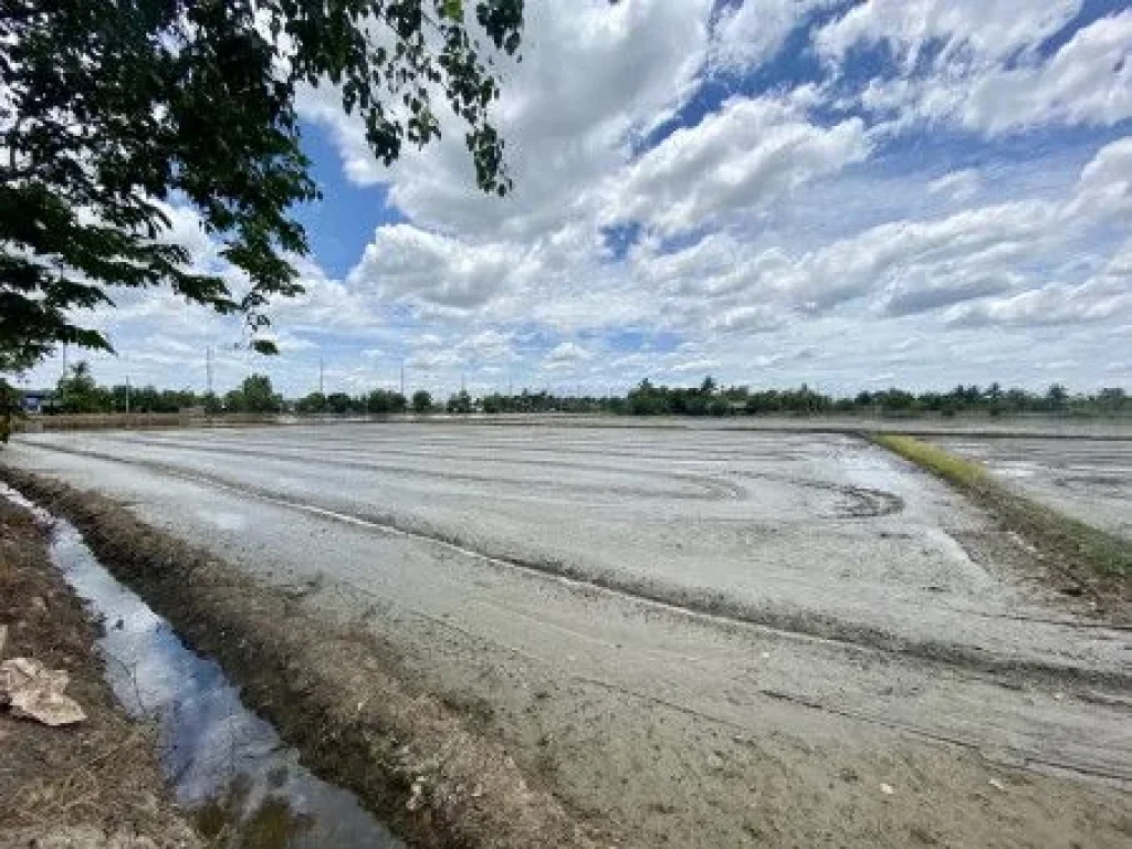 ขาย ที่ดิน ใกล้ถนนเศรษฐกิจ 1 บางปลา มหาชัย สมุทรสาคร เนื้อที่