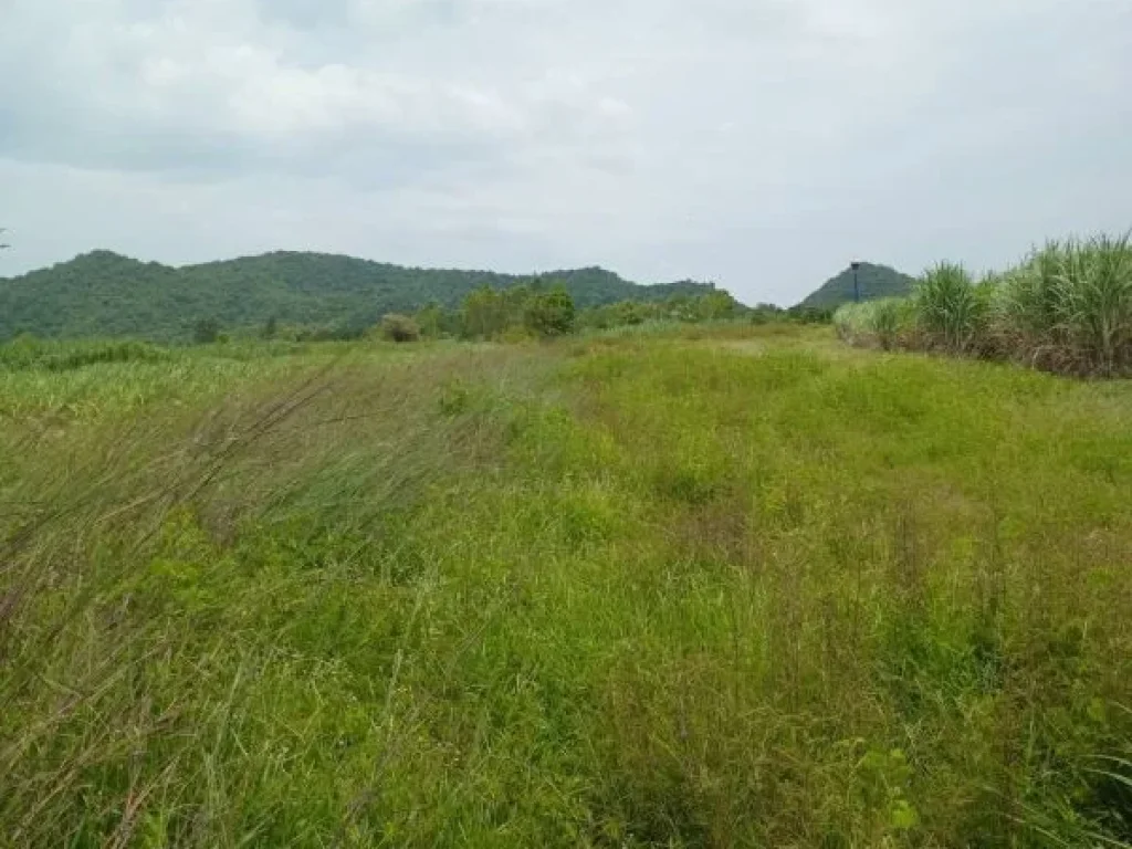 ขายที่ดินทำเลดี 5 ไร่ ตำบลธรรมเสน อำเภอโพธาราม จังหวัดราชบุรี