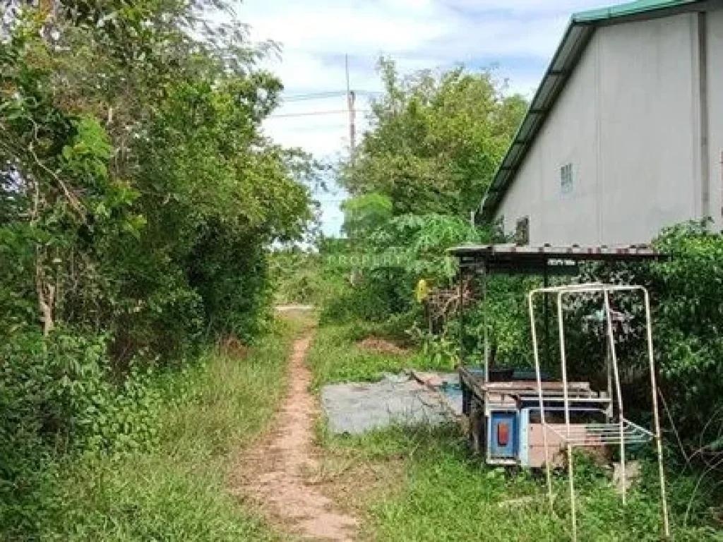 ขายที่ดินเปล่า ควนลัง หาดใหญ่ สงขลา เนื้อที่ 2 ไร่ 260