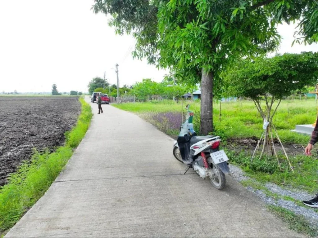 ขายที่ดิน 1ไร่ ติดถนนคอนกรีต ติดคลองน้ำ สามชุก สุพรรณบุรี