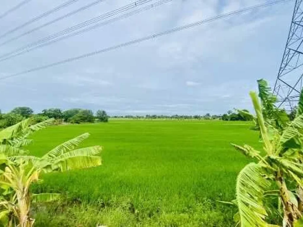 ขาย ที่ดิน บางบัวทอง ติดถนนวัดลาดปลาดุก เนื้อที่ 23 ไร่