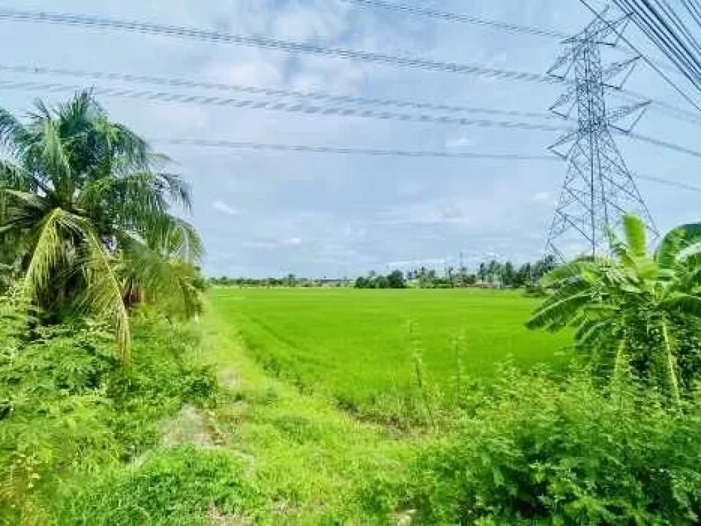 ขาย ที่ดิน บางบัวทอง ติดถนนวัดลาดปลาดุก เนื้อที่ 23 ไร่