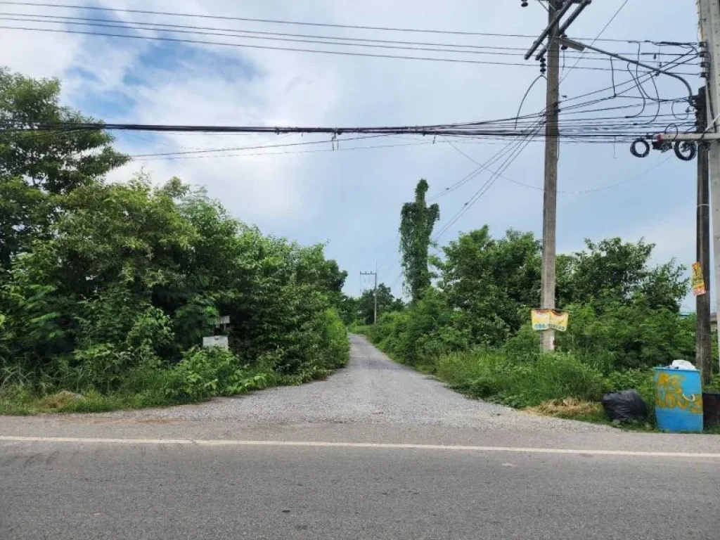 ขาย ที่ดินราคาถูก จปทุมฯ อหนองเสือ ตหนองสามวัง ขนาด 100