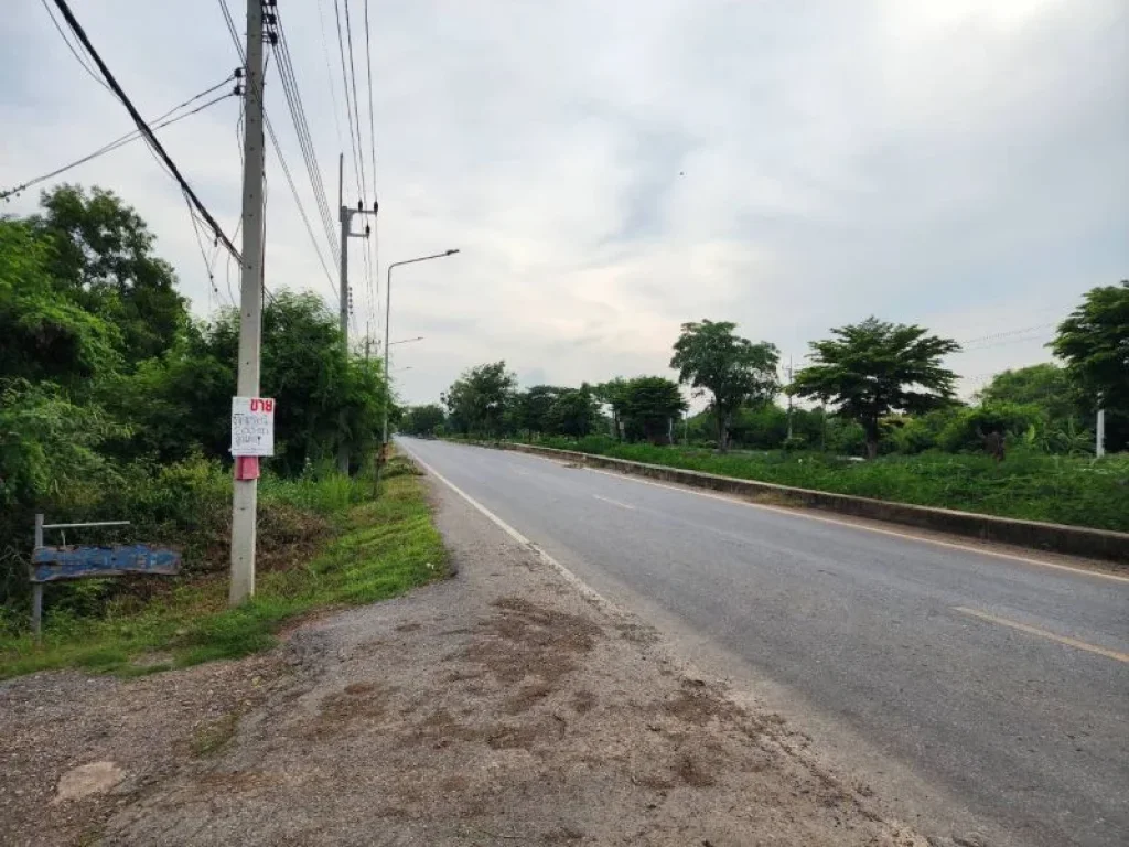 ขาย ที่ดินราคาถูก จปทุมฯ อหนองเสือ ตบึงกาสาม ขนาด 100 ตรว