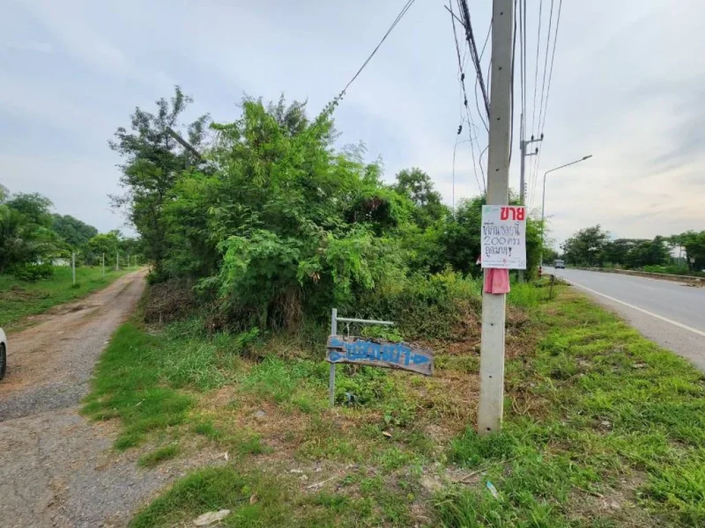 ขาย ที่ดินราคาถูก จปทุมฯ อหนองเสือ ตบึงกาสาม ขนาด 100 ตรว