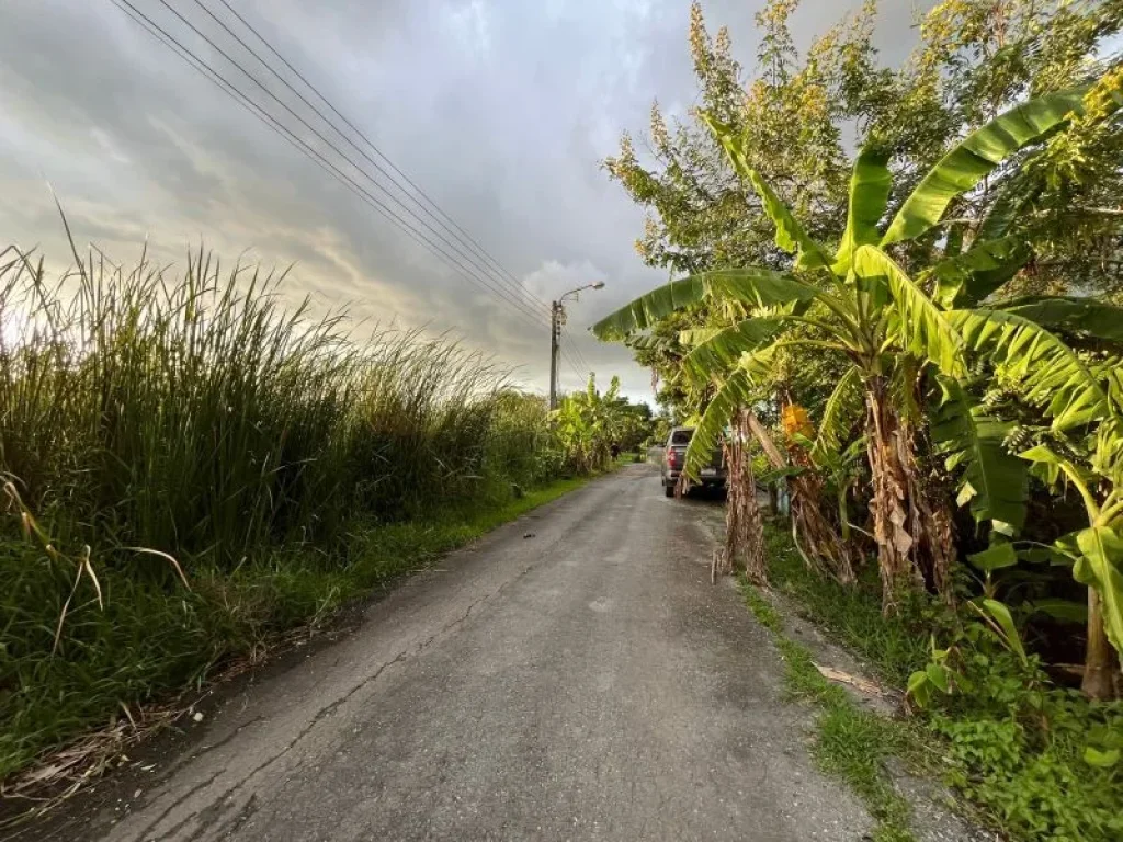 ขายด่วนที่ดิน 196 ตรว ซอยหมู่บ้านร่มเย็น4 ถนนลำไทร