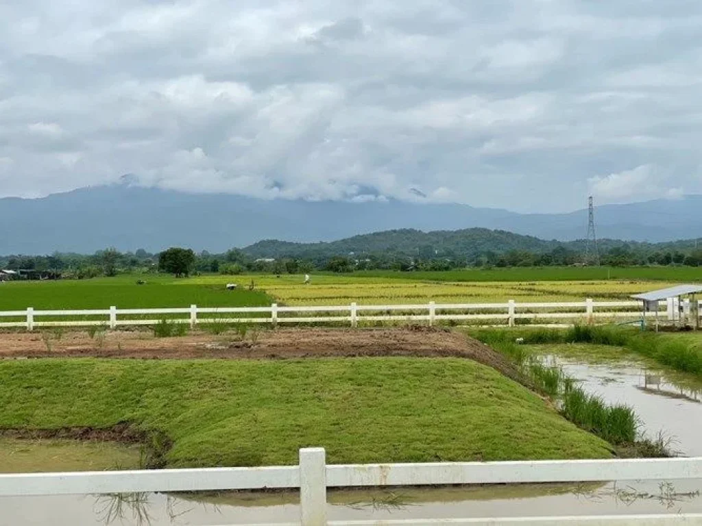 ที่ดินแม่ริมเชียงใหม่ ใกล้มหาวิทยาลัยแม่โจ้ กาดฝรั่งแม่ริม