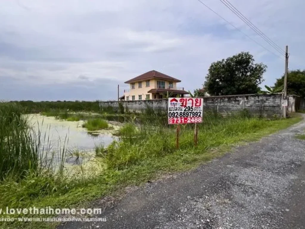 ขายที่ดิน ถนนบางม่วง-บางคูลัด ซอยวัดพระเงิน พื้นที่ 295 ตรว