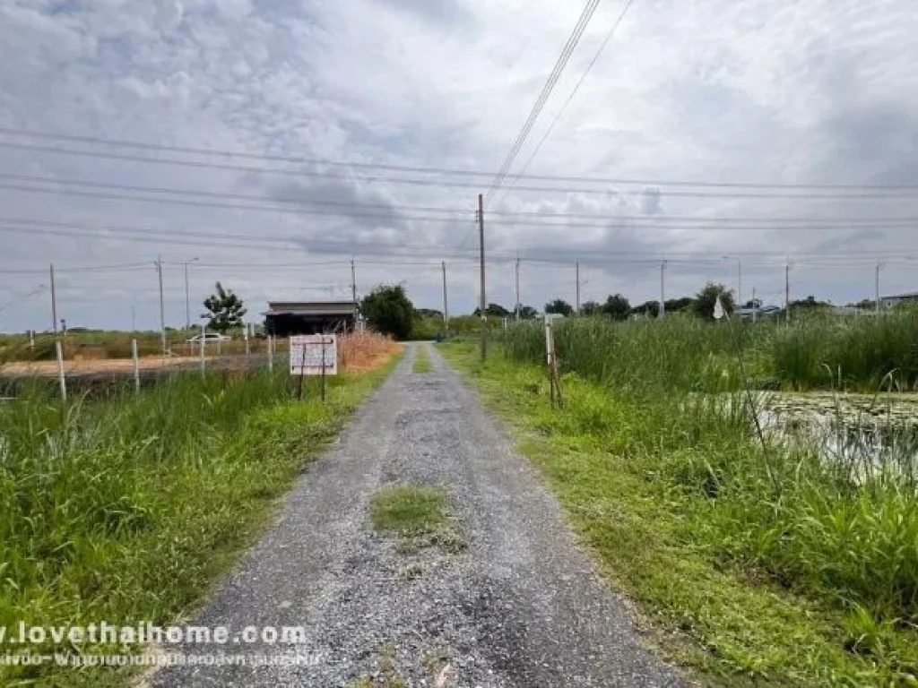 ขายที่ดิน ถนนบางม่วง-บางคูลัด ซอยวัดพระเงิน พื้นที่ 295 ตรว