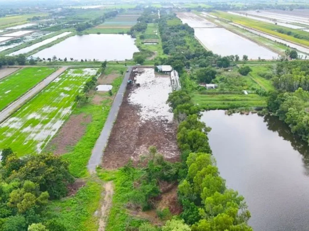 ที่ดินคลอง 5 คลองหลวง ปทุมธานี 100 ตรว เพียง 65 แสน