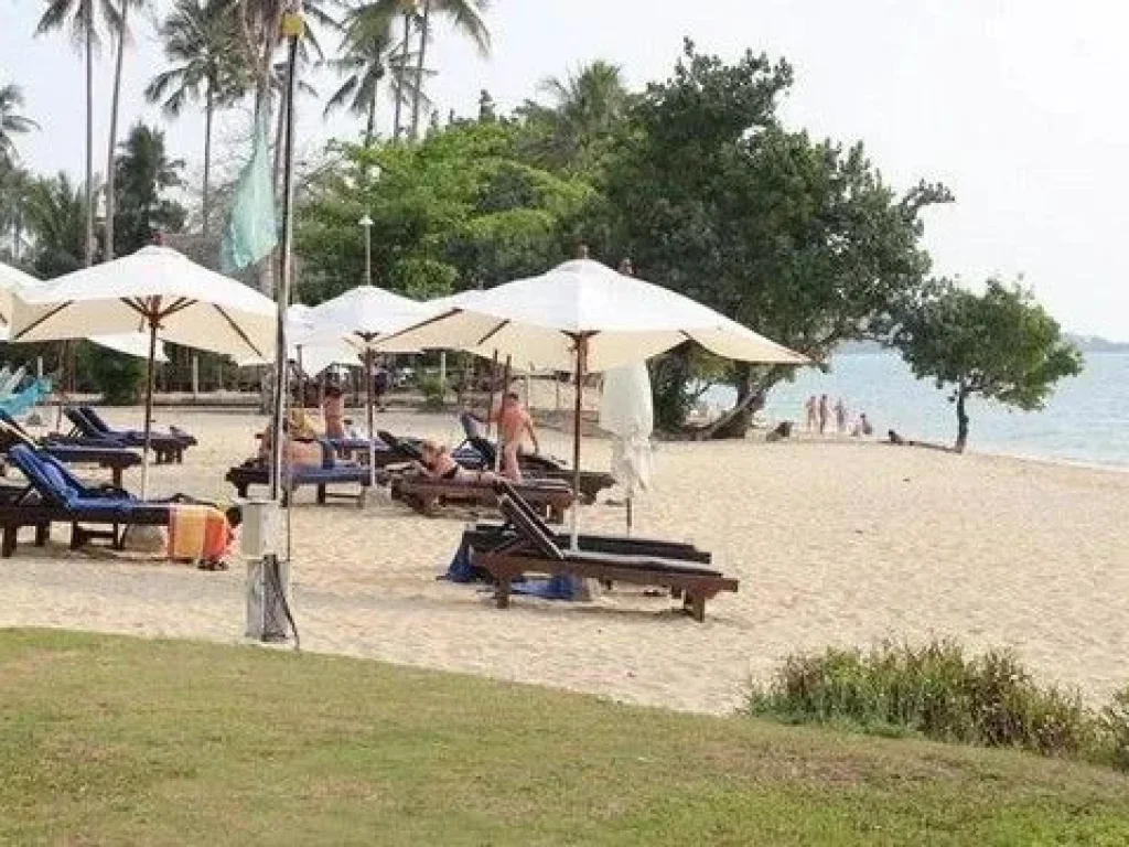 ขายที่ดินพร้อมโรงแรมบนเกาะช้าง ติดหาดทราย หาดไก่แบ้