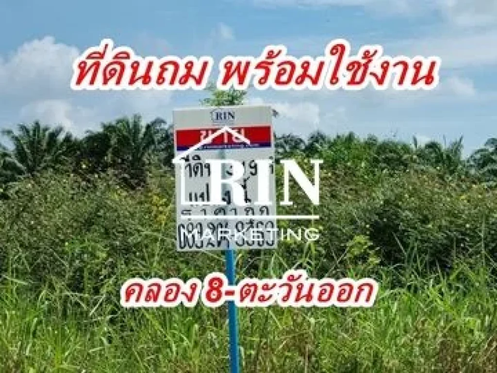 ขายที่ดิน ถมแล้ว 319 ตรว คลอง 8 ตะวันออก ตบึงชำอ้อ