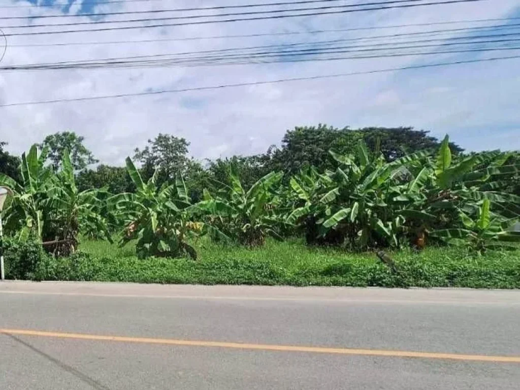 ขายที่ดินตำบลสันทรายสันพระเนตรติดถนนใกล้เมืองพร้อมโอน