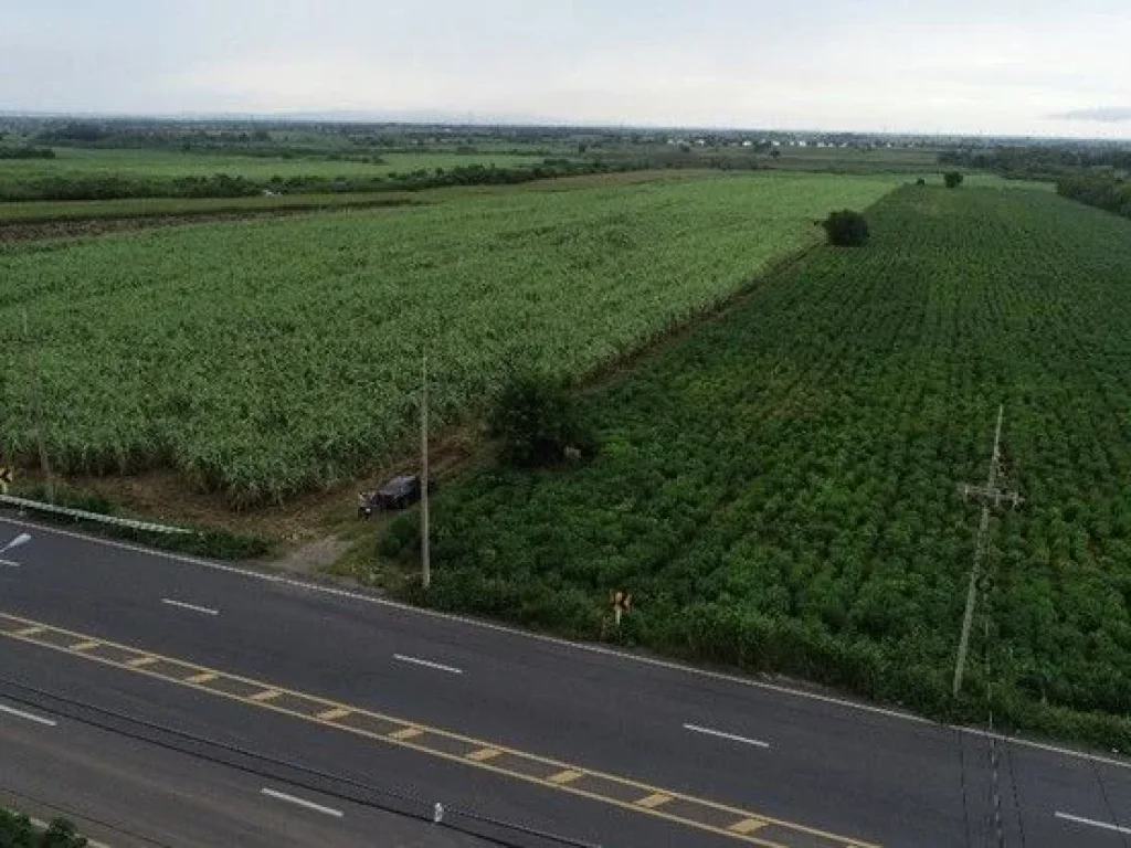 ขายที่ดินแปลงสวย ทำเลดี อำเภอวังม่วง จังหวัดสระบุรี