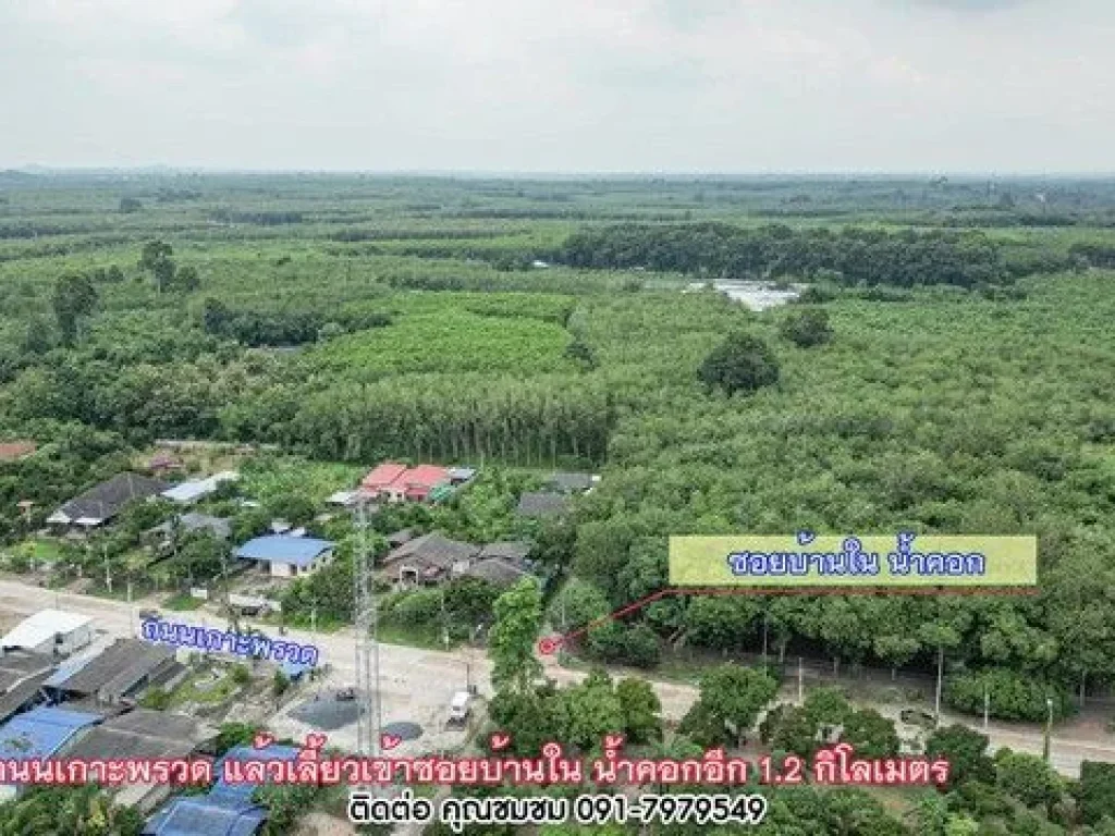 ขายที่ดินน้ำคอกสวนยาง 8ไร่ ใกล้โครงการบ้านหลายที่