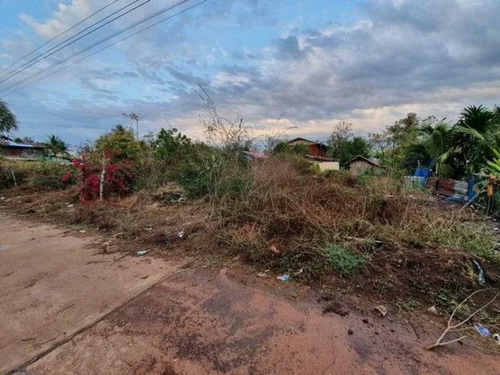 ขายที่ดินนาคำบ้านดุงอุดรธานี ขายที่ดินนาคำอุดรธานี