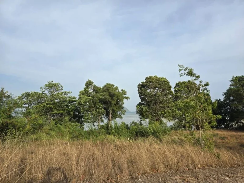 ที่ดินติดหาดราไวย์ ภูเก็ต กำลังมองหาเจ้าของคนใหม่อยู่