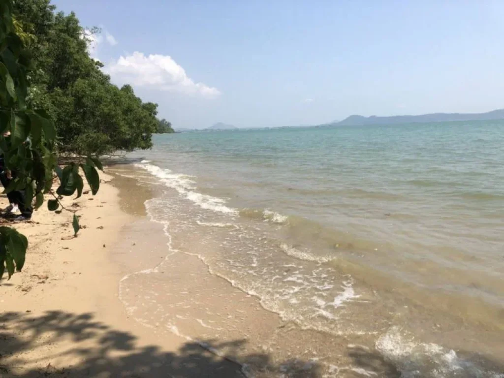 ที่ดินติดหาดราไวย์ ภูเก็ต กำลังมองหาเจ้าของคนใหม่อยู่