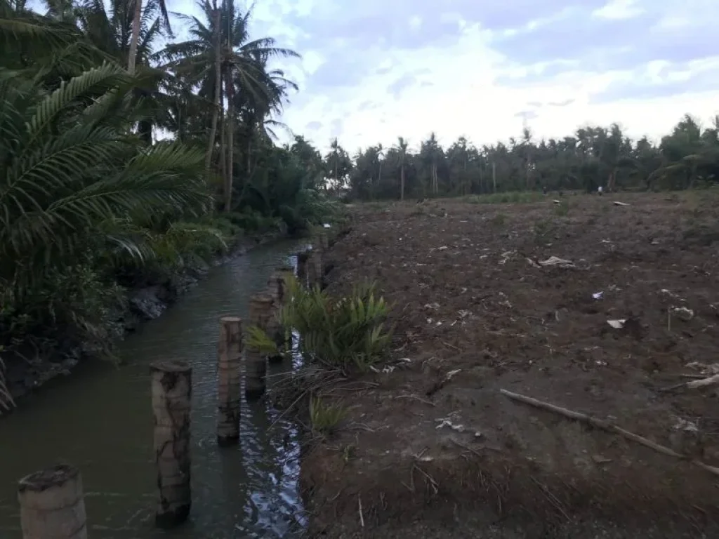 ขายที่ดินสวนมะพร้าวเก่า อยู่ในอำเภอเมืองสมุทรสงคราม