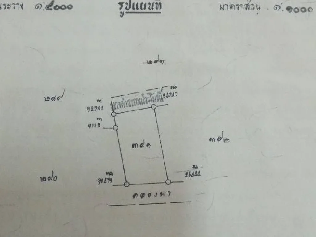 ขายที่ดินติดคลอง ถมแล้ว 117 ตรว ตคลองนา อเมือง