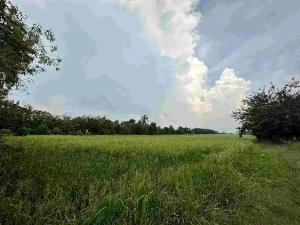 ขายที่ดินติดถนนคลอง12 ทำเลสวย ที่ดินสีชมพู จังหวัดปทุมธานี